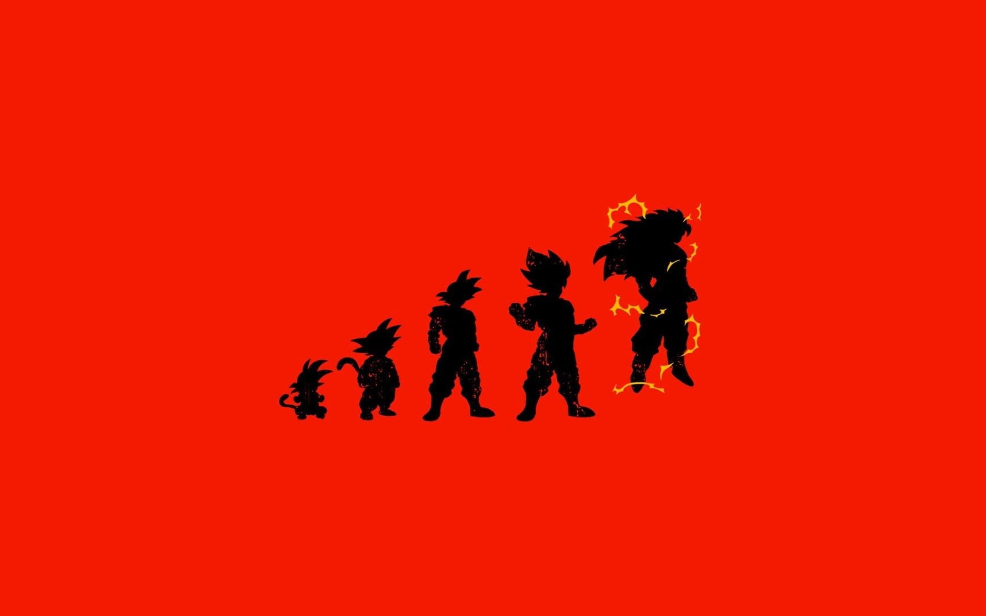 Dragon Ball Banner